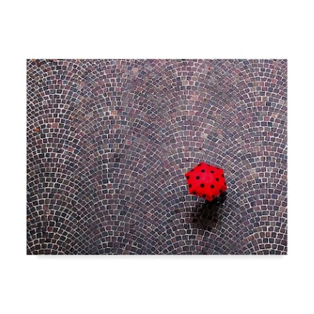 Franco Maffei 'Urban Ladybug' Canvas Art,35x47